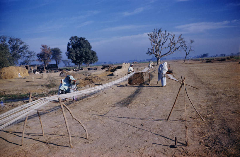 站,走,横图,室外,白天,正面,民族服装,旅游,度假,草地,草坪,美景,植物,道路,路,印度,亚洲,阴影,光线,影子,地平线,景观,云,云朵,小路,辽阔,地面,交通,许多人,云彩,注视,娱乐,草,树,树木,蓝色,绿色,白云,蓝天,天空,阳光,自然,绳子,天,观察,看,站着,一群人,享受,休闲,广阔,景色,放松,生长,晴朗,成长,观看,一望无际,察看,关注,自然风光,延伸,南亚,印度共和国,天地相交,无边无际,一马平川,旁遮普,旁遮普邦,男人,男性,女人,女性,中年男性,中年女性,亚洲人,印度人,晴空,步行,散步,站立,走路,彩图,全身,传统服装,民俗服