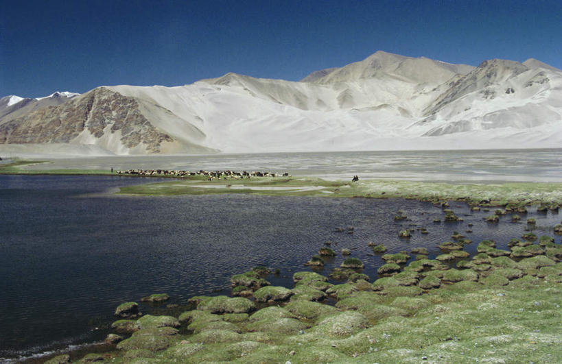 无人,横图,室外,白天,正面,旅游,度假,湖,湖泊,石头,美景,山,水,雪,雪山,大雪,巴基斯坦,亚洲,阴影,波纹,朦胧,模糊,光线,石子,影子,冰,湖面,积雪,景观,山峰,水流,水面,雪景,冬季,冬天,青苔,苔藓,涟漪,山峦,娱乐,蓝色,倒影,蓝天,水纹,天空,阳光,自然,波浪,湖水,天,享受,休闲,景色,放松,寒冷,晴朗,冰冷,倒映,自然风光,南亚,万里无云,水晕,严寒,冰凉,酷寒,凛冽,凛凛,极冷,巴基斯坦伊斯兰共和国,反照,石块,岩石,晴空,晴空万里,彩图,喀喇昆仑公路