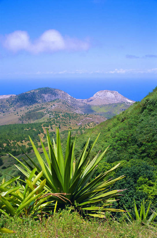 无人,竖图,俯视,室外,白天,旅游,度假,草地,草坪,海浪,海洋,石头,美景,山,山脉,植物,圭亚那,阴影,光线,石子,影子,景观,浪花,山顶,山峰,水平线,云,云朵,辽阔,海平线,山峦,首都,云彩,娱乐,草,树,树木,蓝色,绿色,蓝天,天空,阳光,自然,海水,群山,天,享受,休闲,广阔,景色,南美,放松,生长,成长,一望无际,南美洲,拉丁美洲,自然风光,美洲,海景,沉积岩,亚美利加洲,南亚美利加洲,圭亚那合作共和国,乔治敦,无边无际,一马平川,颠峰,极峰,阿森松岛,水成岩,大海,风浪,海,海水的波动,近岸浪,石块,岩石,涌浪,彩图,高角度拍摄,水天相接,水天一线