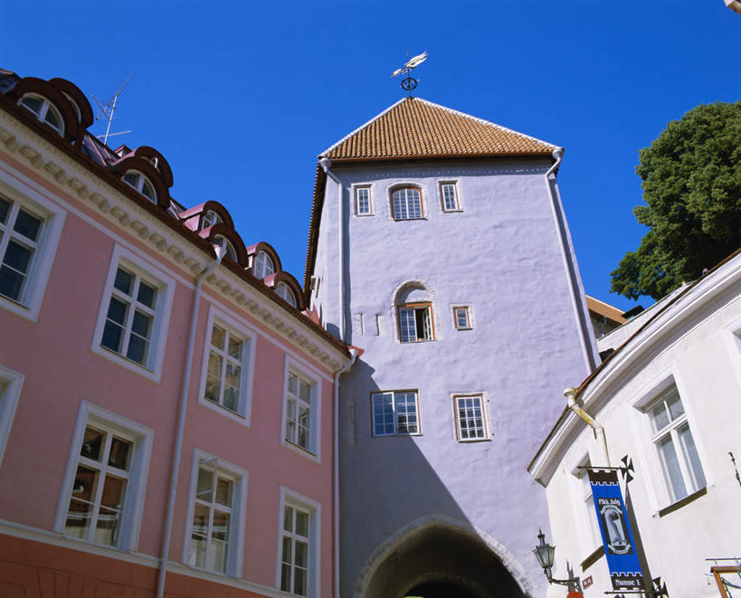 无人,家,横图,室外,白天,仰视,旅游,度假,植物,窗户,标志建筑,地标,建筑,欧洲,爱沙尼亚,阴影,光线,瓦片,影子,房屋,墙,屋顶,屋子,公寓,首都,顶棚,瓦,娱乐,建设,洋房,楼房,玻璃窗,墙壁,墙面,住宅,树,树木,蓝色,绿色,蓝天,天空,阳光,自然,天,享受,休闲,旅游胜地,放松,建造,生长,晴朗,成长,东欧,屋瓦,万里无云,爱沙尼亚共和国,塔林,晴空,晴空万里,彩图,低角度拍摄,房子