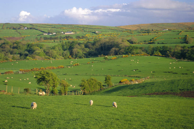 无人,农田,农场,站,吃,横图,俯视,航拍,室外,白天,旅游,度假,畜牧业,牧场,庄稼,农作物,草地,草坪,山,山脉,植物,羊,英国,欧洲,北爱尔兰,许多,阴影,光线,影子,山峰,云,云朵,山峦,很多,云彩,娱乐,草,树,树木,蓝色,绿色,白云,蓝天,天空,自然,动物,群山,天,站着,享受,休闲,家畜,放松,牲畜,生长,晴朗,成长,西欧,鸟瞰,大不列颠,畜牧,大不列颠及北爱尔兰联合王国,牧业,大不列颠联合王国,日不落英帝国,安特里姆郡,晴空,绵羊,嚼,食,站立,彩图,高角度拍摄,全身,耕地,庄稼田