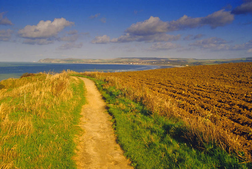 无人,农田,横图,室外,白天,正面,旅游,度假,庄稼,农作物,草地,草坪,海浪,海洋,美景,沙滩,植物,法国,欧洲,阴影,光线,沙子,影子,海岸,景观,浪花,水平线,云,云朵,辽阔,海平线,沙地,云彩,娱乐,草,树,树木,蓝色,绿色,白云,蓝天,天空,阳光,自然,海水,天,享受,休闲,广阔,景色,放松,生长,晴朗,成长,一望无际,自然风光,海景,法兰西共和国,法兰西第五共和国,无边无际,一马平川,加来海峡省,大海,风浪,海,海水的波动,海滩,近岸浪,涌浪,晴空,彩图,耕地,庄稼田,水天相接,水天一线