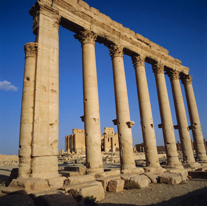 无人,横图,室外,白天,仰视,旅游,度假,草地,草坪,石头,名胜古迹,植物,标志建筑,地标,建筑,叙利亚,亚洲,一排,阴影,遗迹,整齐,光线,石子,影子,柱子,古迹,文物,娱乐,建设,古建筑,废墟,草,排列,蓝色,绿色,蓝天,天空,阳光,天,享受,休闲,旅游胜地,放松,晴朗,队列,西亚,古文明,万里无云,阿拉伯叙利亚共和国,巴尔米拉,巴尔米拉古城,巴尔米拉遗址,石块,岩石,晴空,晴空万里,彩图,低角度拍摄