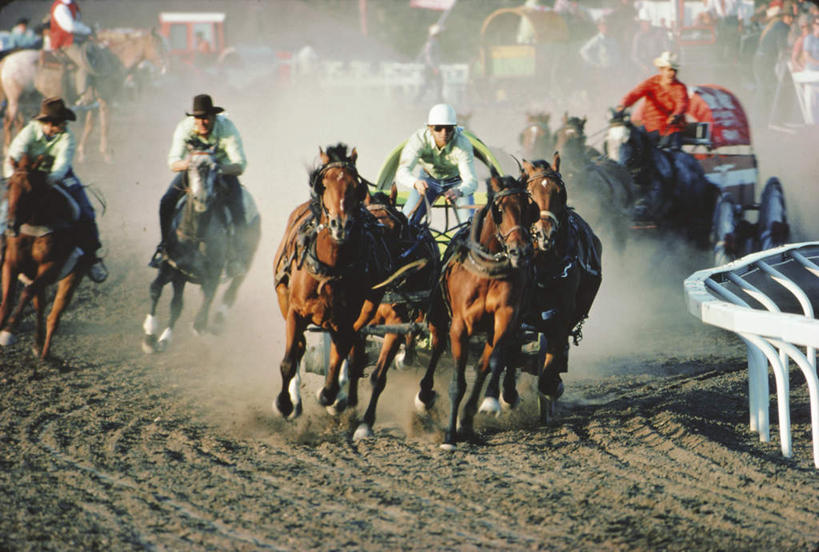 西方人,横图,室外,白天,正面,旅游,度假,赛跑,标志建筑,地标,建筑,马,野生动物,帽子,欧洲,加拿大,欧洲人,许多,服装,头盔,泥土,土壤,很多,许多人,注视,休闲装,娱乐,建设,马场,骑,衣服,动物,安全帽,观察,看,一群人,享受,休闲,休闲服,牛仔帽,旅游胜地,放松,运输,服饰,牲畜,观看,察看,北美,北美洲,关注,美洲,阿尔伯塔省,阿尔伯塔,北亚美利加洲,亚美利加洲,艾伯塔,艾伯塔省,卡尔加里,竞走,男人,男性,中年男性,白种人,彩图,全身,卡城