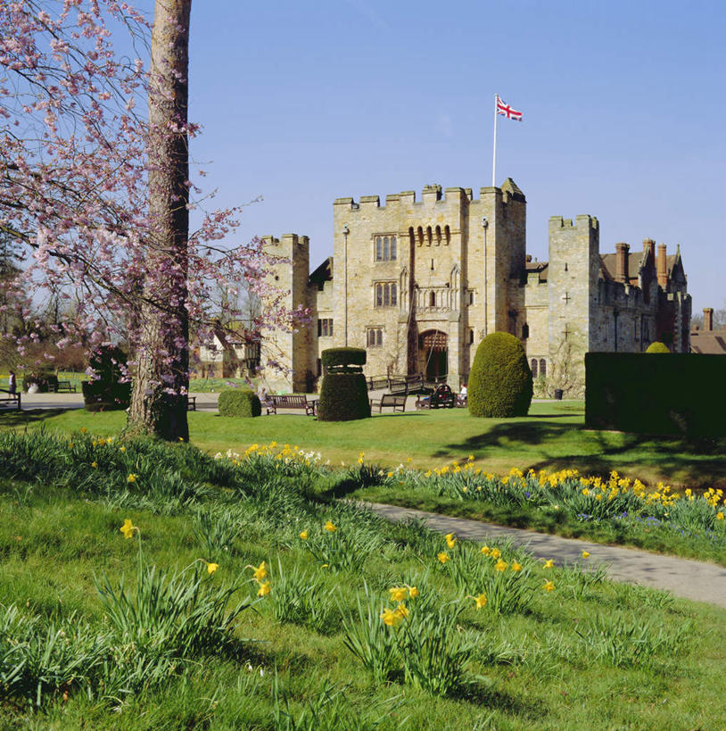 无人,竖图,室外,白天,正面,旅游,度假,幸福,纯洁,草地,草坪,植物,标志建筑,道路,地标,建筑,路,樱花,旗帜,国旗,英国,欧洲,阴影,盛开,光线,影子,堡垒,城堡,小路,交通,花蕾,娱乐,建设,草,花,花瓣,花朵,鲜花,树,树木,一个,蓝色,绿色,蓝天,天空,阳光,自然,天,花苞,花蕊,享受,休闲,旅游胜地,放松,生长,晴朗,单个,成长,等待,生命,西欧,要塞,大不列颠,大不列颠及北爱尔兰联合王国,万里无云,肯特郡,仙樱花,福岛樱,青肤樱,高尚,多佛,大不列颠联合王国,日不落英帝国,热烈,设防,多佛尔港,多佛古城堡,旗,晴空,晴空万里,荆桃,彩图