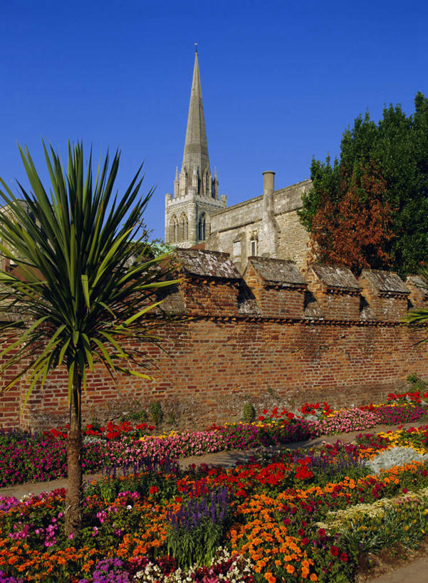 无人,教堂,竖图,室外,白天,仰视,旅游,度假,花海,花圃,植物,标志建筑,地标,建筑,棕榈树,叶子,英国,欧洲,阴影,节日,盛开,光线,影子,绿叶,花蕾,文化,娱乐,建设,英格兰,花,花瓣,花朵,花卉,鲜花,树,树木,蓝色,绿色,蓝天,天空,阳光,自然,花丛,花束,花田,天,花苞,花蕊,祈祷,享受,休闲,健康,嫩叶,旅游胜地,放松,许愿,宗教,信仰,生长,晴朗,成长,纪念,祈求,西欧,大不列颠,信念,棕榈叶,大不列颠及北爱尔兰联合王国,万里无云,大不列颠联合王国,日不落英帝国,萨塞克斯,萨塞克斯郡,苏塞克斯,西萨塞克斯郡,奇切斯特,奇切斯特大教堂,平安,叶,叶片,晴空,晴空万里,彩图,低角度拍摄,大教堂,礼拜堂