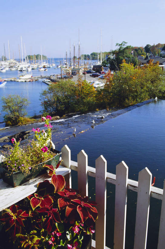 无人,栏杆,码头,露台,竖图,室外,白天,正面,度假,海浪,海洋,美景,植物,阳台,城市风光,城市,港口,轮船,船,英国,欧洲,阴影,盛开,光线,盆栽,影子,景观,浪花,围栏,盆景,花蕾,娱乐,护栏,英格兰,花,花瓣,花朵,鲜花,树,树木,蓝色,绿色,蓝天,天空,阳光,自然,海水,交通工具,天,花苞,花蕊,享受,休闲,景色,放松,生长,晴朗,成长,西欧,载具,大不列颠,海景,大不列颠及北爱尔兰联合王国,万里无云,大不列颠联合王国,日不落英帝国,英吉利,卡姆登区,大伦敦,大海,风浪,海,海水的波动,近岸浪,涌浪,晴空,晴空万里,彩图,摆渡口,埠头,渡口,渡头,港湾,海港,货运码头,口岸,露天阳台,商港