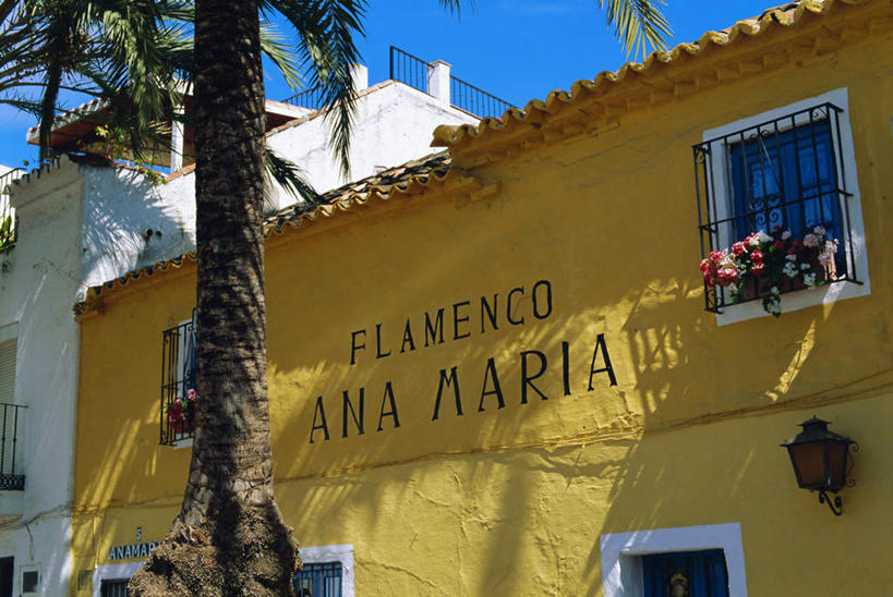 无人,家,横图,室外,白天,仰视,度假,美景,植物,别墅,城市风光,城市,棕榈树,叶子,西班牙,欧洲,阴影,盛开,光线,英文,标志,盆栽,文字,影子,字符,字母,房屋,墙,屋子,景观,公寓,绿叶,盆景,花蕾,娱乐,标识,洋房,楼房,安达卢西亚,墙壁,墙面,住宅,花,花瓣,花朵,鲜花,树,树木,蓝色,绿色,蓝天,天空,阳光,自然,天,花苞,花蕊,享受,休闲,嫩叶,景色,放松,生长,晴朗,成长,英文字母,南欧,安达鲁西亚,棕榈叶,马拉加省,万里无云,马拉加,西班牙王国,安达卢西亚自治区,马贝拉,马尔贝拉,叶,叶片,晴空,晴空万里,彩图,低角度拍摄,房子