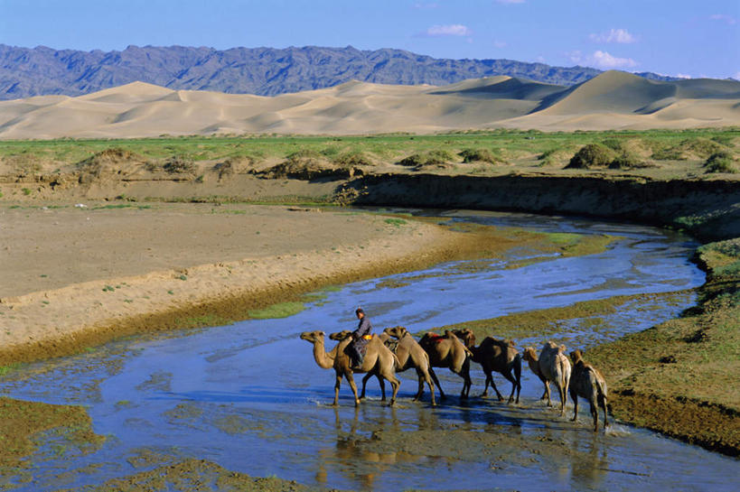 东方人,一个人,坐,横图,俯视,室外,白天,旅游,度假,河流,美景,沙漠,水,野生动物,蒙古,亚洲,仅一个男性,仅一个人,仅一个中年男性,阴影,服装,光线,沙子,影子,河水,景观,水流,云,云朵,沙丘,云彩,注视,休闲装,黄种人,娱乐,骆驼,衣服,蓝色,白云,倒影,蓝天,天空,小溪,阳光,自然,动物,天,溪水,观察,看,享受,休闲,休闲服,景色,放松,运输,服饰,晴朗,观看,察看,倒映,关注,自然风光,东亚,沙漠之舟,双峰骆驼,草原之国,蒙古国,外蒙,外蒙古,反照,南戈壁省,男人,男性,中年男性,亚洲人,大漠,砂漠,晴空,坐着,彩图,高角度拍摄,全身
