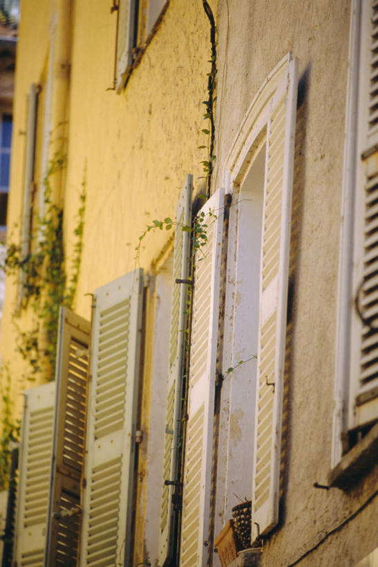 无人,家,竖图,室外,特写,白天,正面,度假,美景,植物,窗户,城市风光,城市,法国,欧洲,阴影,光线,盆栽,影子,百叶窗,房屋,墙,屋子,景观,公寓,盆景,娱乐,洋房,楼房,玻璃窗,墙壁,墙面,住宅,绿色,阳光,自然,享受,休闲,景色,放松,生长,成长,瓦尔省,法兰西共和国,法兰西第五共和国,普罗旺斯.阿尔卑斯.蓝色海岸,普罗旺斯.阿尔卑斯.蓝色海岸大区,瓦尔,彩图,房子