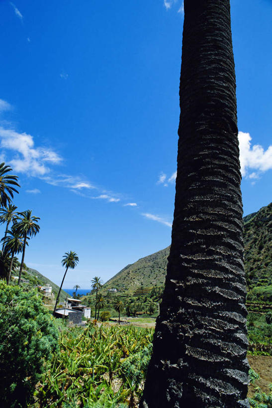 无人,竖图,室外,白天,仰视,旅游,度假,草地,草坪,美景,山,山脉,植物,道路,路,西班牙,欧洲,阴影,光线,影子,景观,山峰,云,云朵,小路,交通,山峦,云彩,娱乐,草,树,树木,蓝色,绿色,白云,蓝天,天空,阳光,自然,群山,天,享受,休闲,景色,放松,生长,晴朗,成长,加纳利群岛,南欧,自然风光,加那利群岛,西班牙王国,戈梅拉岛,晴空,彩图,低角度拍摄