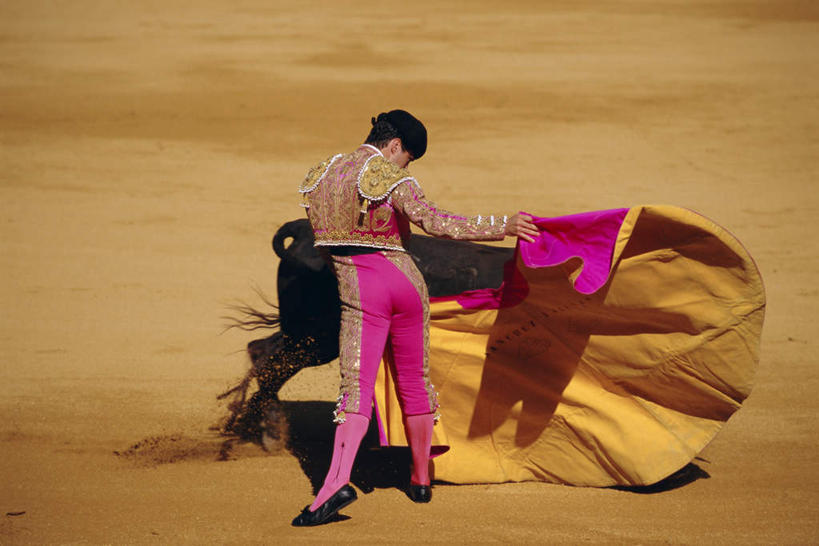 西方人,一个人,站,横图,室外,白天,民族服装,旅游,度假,牛,帽子,西班牙,欧洲,欧洲人,仅一个男性,仅一个人,仅一个中年男性,对抗,握,阴影,花纹,朦胧,模糊,光线,布,图案,影子,泥土,土壤,布纹,注视,礼帽,娱乐,安达卢西亚,一只,背面,红色,阳光,动物,观察,看,站着,享受,休闲,家畜,放松,握着,牲畜,观看,布匹,察看,对立,关注,南欧,安达鲁西亚,西班牙王国,抗衡,一顶,伤害,反抗,安达卢西亚自治区,匹敌,危险,男人,男性,中年男性,白种人,站立,彩图,全身,传统服装,民俗服