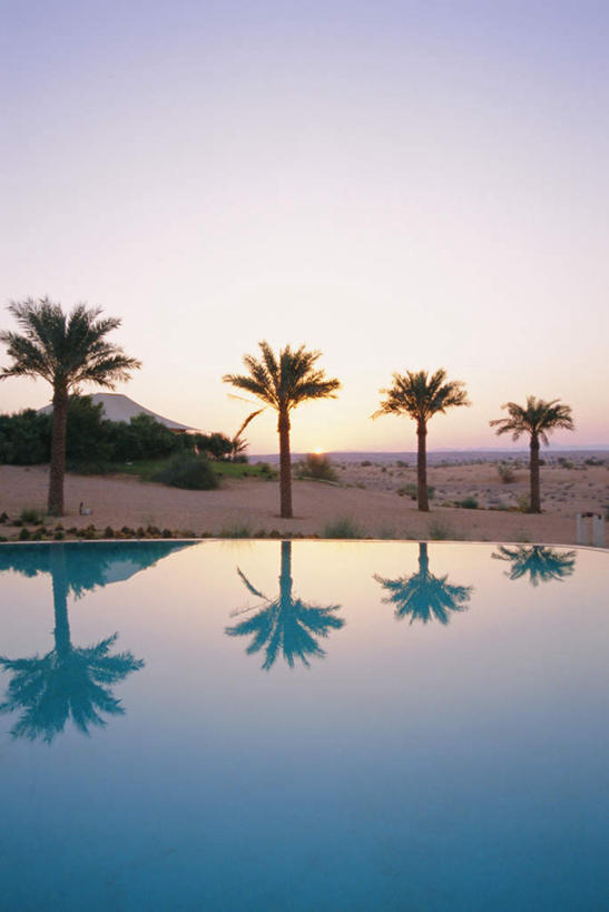 无人,游泳池,竖图,室外,白天,正面,旅游,度假,美景,日落,水,植物,酒店,棕榈树,叶子,阿联酋,亚洲,一排,阴影,波纹,整齐,光线,影子,景观,水池,水面,晚霞,霞光,落日,绿叶,涟漪,四棵,娱乐,泳池,树,树木,排列,蓝色,绿色,倒影,蓝天,水纹,天空,阳光,自然,黄昏,波浪,天,享受,休闲,嫩叶,景色,彩霞,放松,生长,晴朗,成长,倒映,队列,自然风光,西亚,阿拉伯联合酋长国,迪拜,棕榈叶,万里无云,水晕,夕照,反照,杜拜,叶,叶片,晴空,晴空万里,夕阳,彩图,旅店,斜阳