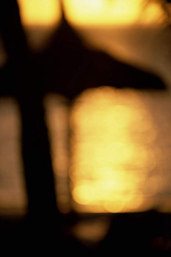 无人,竖图,室外,白天,正面,旅游,度假,海浪,海洋,日落,沙滩,非洲,毛里求斯,朦胧,模糊,伞,沙子,雨伞,遮阳伞,海岸,浪花,晚霞,霞光,落日,沙地,背光,娱乐,阳伞,海水,黄昏,享受,休闲,彩霞,放松,逆光,海景,阿非利加洲,夕照,毛里求斯共和国,大海,风浪,海,海水的波动,海滩,近岸浪,涌浪,夕阳,彩图,斜阳