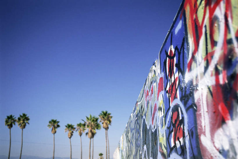 无人,横图,室外,白天,仰视,旅游,度假,绘画,植物,城市,棕榈树,叶子,美国,一排,许多,阴影,朦胧,模糊,艺术,整齐,装饰,光线,影子,墙,绿叶,文化,娱乐,壁画,墙壁,墙面,树,树木,排列,蓝色,绿色,蓝天,天空,阳光,自然,天,享受,休闲,嫩叶,放松,生长,晴朗,成长,华丽,修饰,点缀,北美,北美洲,队列,加利福尼亚,美洲,棕榈叶,加州,洛杉矶,加利福尼亚州,万里无云,金州,黄金州,威尼斯海滩,北亚美利加洲,亚美利加洲,衬托,美观,雅致,雅观,天使之城,叶,叶片,晴空,晴空万里,画画,彩图,低角度拍摄