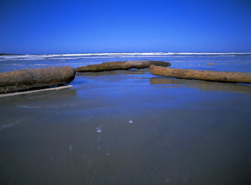 无人,横图,室外,白天,正面,旅游,度假,海浪,海洋,美景,沙滩,植物,加拿大,阴影,光线,沙子,影子,海岸,景观,浪花,水平线,辽阔,枝条,海平线,沙地,娱乐,树,树木,树枝,蓝色,蓝天,天空,阳光,自然,海水,天,享受,休闲,广阔,景色,放松,晴朗,一望无际,北美,北美洲,自然风光,美洲,海景,万里无云,北亚美利加洲,亚美利加洲,卑诗省,不列颠哥伦比亚,不列颠哥伦比亚省,夏洛特皇后群岛,无边无际,一马平川,虬枝,枝杈,大海,风浪,海,海水的波动,海滩,近岸浪,涌浪,晴空,晴空万里,彩图,水天相接,水天一线