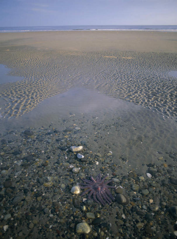 无人,竖图,俯视,室外,白天,旅游,度假,海浪,海洋,石头,美景,沙滩,加拿大,阴影,光线,沙子,石子,影子,海岸,景观,浪花,水平线,辽阔,海平线,沙地,娱乐,蓝色,蓝天,天空,阳光,自然,海水,天,享受,休闲,广阔,景色,放松,晴朗,一望无际,北美,北美洲,自然风光,美洲,海景,万里无云,北亚美利加洲,亚美利加洲,卑诗省,不列颠哥伦比亚,不列颠哥伦比亚省,夏洛特皇后群岛,无边无际,一马平川,大海,风浪,海,海水的波动,海滩,近岸浪,石块,岩石,涌浪,晴空,晴空万里,彩图,高角度拍摄,水天相接,水天一线