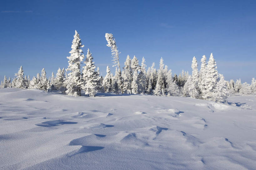 无人,横图,室外,白天,正面,旅游,度假,美景,森林,树林,雪,植物,大雪,加拿大,阴影,光线,影子,积雪,景观,雪景,冬季,冬天,娱乐,树,树木,蓝色,绿色,蓝天,天空,阳光,自然,天,享受,休闲,景色,放松,寒冷,生长,晴朗,成长,北美,北美洲,自然风光,美洲,万里无云,北亚美利加洲,亚美利加洲,严寒,马尼托巴,马尼托巴省,曼尼托巴省,晴空,晴空万里,彩图
