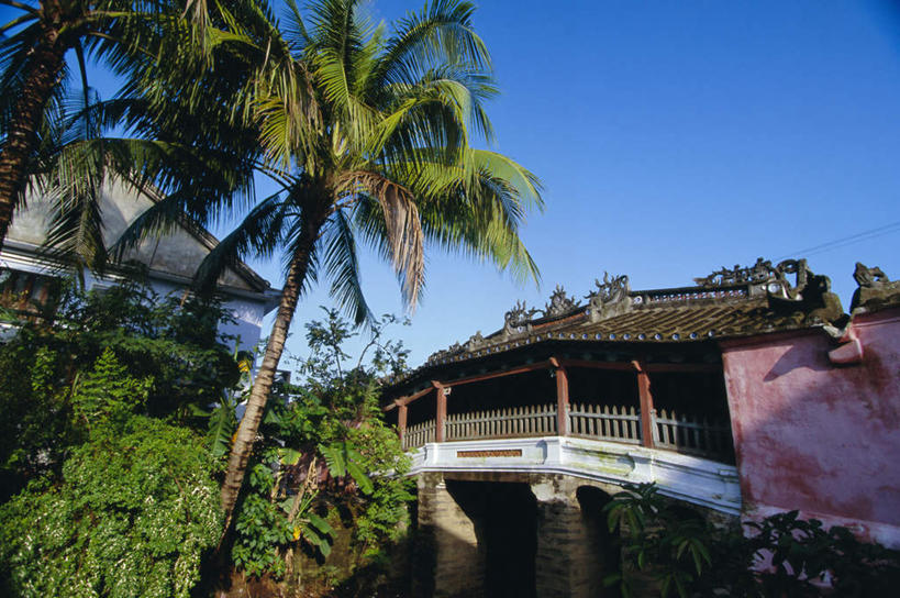 无人,家,栏杆,横图,室外,白天,仰视,度假,石头,美景,植物,城市风光,城市,棕榈树,叶子,越南,亚洲,阴影,光线,石子,影子,房屋,屋子,景观,围栏,桥,绿叶,娱乐,石桥,护栏,楼房,拱桥,住宅,栈桥,树,树木,蓝色,绿色,蓝天,天空,阳光,自然,天,享受,休闲,嫩叶,景色,放松,东南亚,拱形,生长,晴朗,成长,人行桥,石拱桥,棕榈叶,万里无云,越南社会主义共和国,岘港市,叶,叶片,石块,晴空,晴空万里,彩图,低角度拍摄,房子