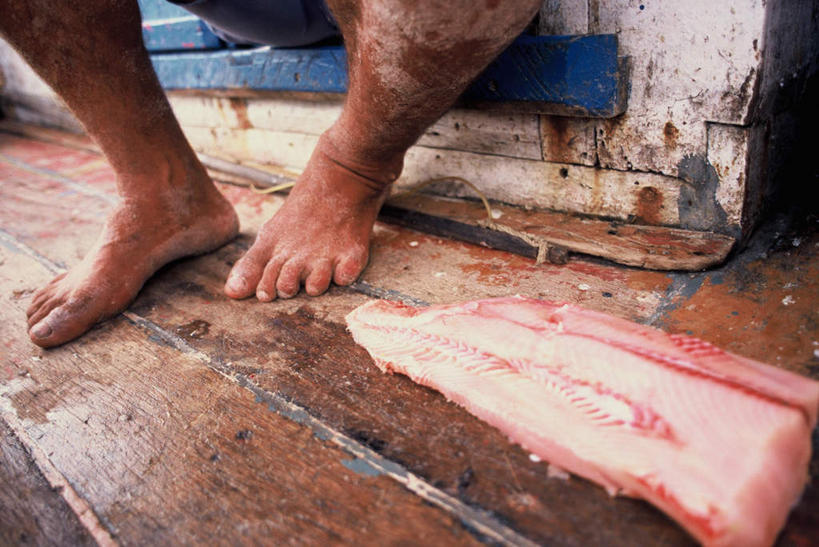 海鲜,西方人,腿部,脚,脚趾,脚趾甲,腿,一个人,横图,俯视,室外,特写,白天,地板,欧洲,欧洲人,仅一个男性,仅一个人,仅一个中年男性,鱼,肉,鱼肉,地面,踩,水产,肉类,鱼类,木地板,海洋生物,踩着,水生动物,海产品,水生物,肉食,海底动物,男人,男性,中年男性,白种人,脚指甲,半身,彩图,高角度拍摄