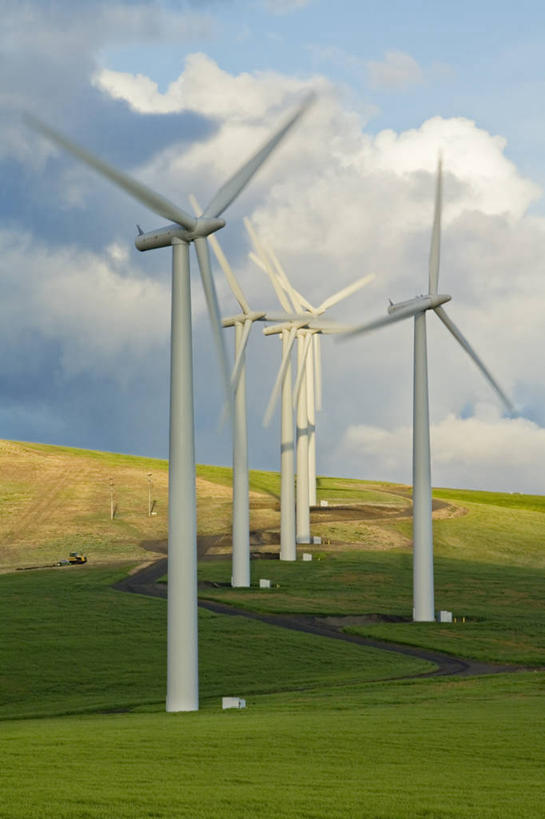 无人,农场,竖图,室外,白天,运动模糊,农作物,技术,风,全球变暖,日光,美国,阴影,环保,风力,发电机,云,塔,夏天,摄影,能源,电,电源,环境,回收,资源,工程,利用,低碳,循环,替代能源,华盛顿州,帕卢斯,涡轮,持续,雷雨,风轮机,彩图,机遇