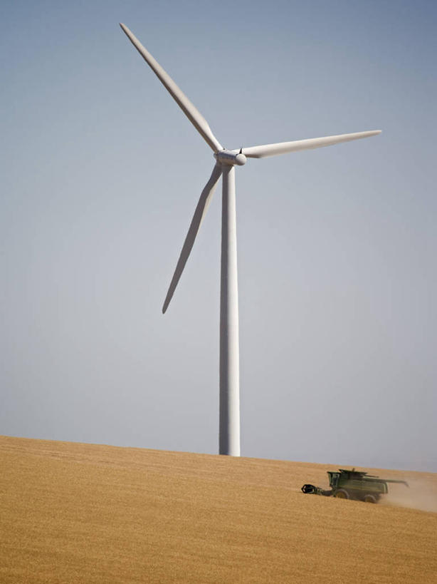 无人,农场,竖图,室外,白天,农业,小麦,机器,技术,风,全球变暖,美国,环保,风力,发电机,塔,夏天,机械,摄影,收获,能源,电,电源,环境,回收,资源,利用,低碳,循环,替代能源,华盛顿州,帕卢斯,涡轮,持续,式样,风轮机,彩图,机遇,农业机械