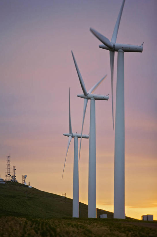 无人,竖图,室外,白天,留白,技术,日落,风,全球变暖,美国,一排,环保,整齐,风力,发电机,塔,排列,三个,粉色,摄影,能源,电,电源,环境,回收,资源,工程,队列,利用,低碳,循环,替代能源,华盛顿州,帕卢斯,涡轮,持续,风轮机,彩图,机遇