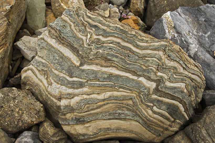 无人,横图,室外,特写,白天,北极,挪威,自然,摄影,式样,斯瓦尔巴德群岛,地质学,群岛,岩石,彩图