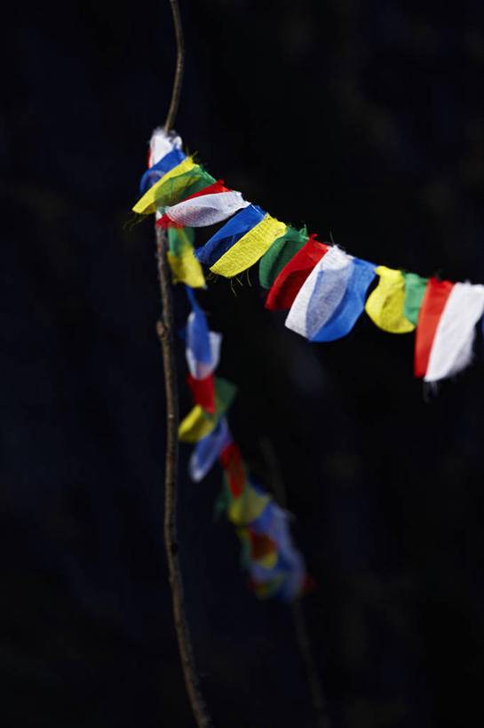 无人,竖图,室外,特写,白天,尼泊尔,亚洲,经幡,摄影,宗教,佛教,梦想,灵性,彩图