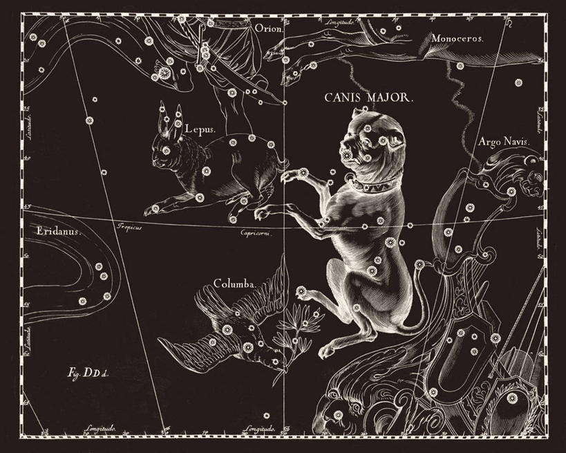 无人,横图,黑白,狗,地图,科学,星星,摄影,星座,手艺,天文学,拉丁文,雕刻术