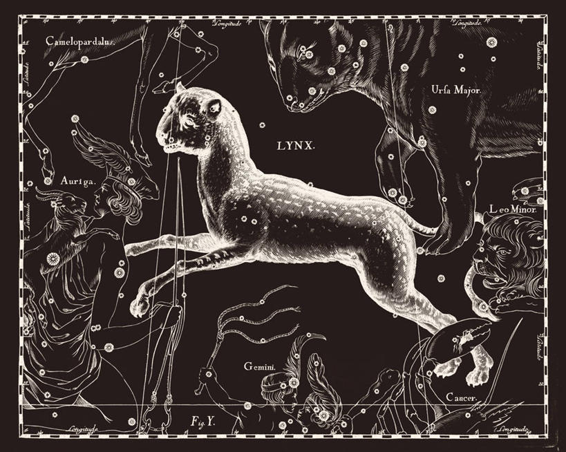 无人,横图,黑白,地图,科学,星星,摄影,星座,山猫,手艺,天文学,拉丁文,雕刻术