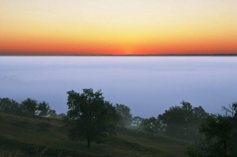 无人,横图,室外,白天,日出,雾,美国,湿,科学,天气,树,摄影,早晨,气象学,彩图,爱荷华