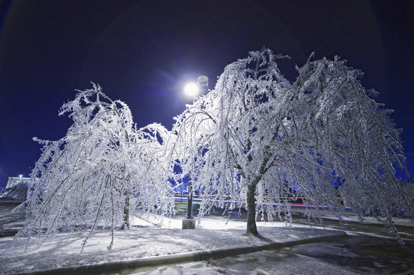 无人,横图,室外,夜晚,路灯,美国,科学,冰,冬天,天气,树,寒冷,摄影,阿肯色州,气象学,彩图