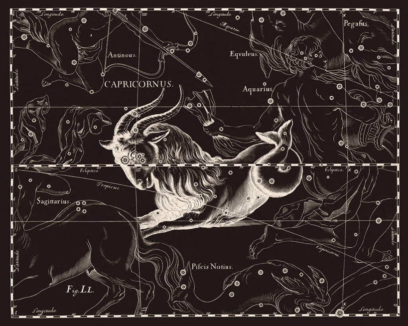 无人,横图,黑白,地图,科学,星星,摄影,星座,手艺,天文学,摩羯座,拉丁文,雕刻术