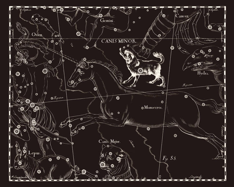 无人,横图,黑白,宇宙,地图,科学,星星,自然,摄影,星座,天文,占卜,手艺,天文学,星相,占星,拉丁文,雕刻术