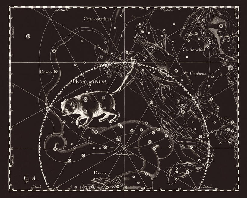 无人,横图,黑白,地图,科学,星星,摄影,北极星,星座,手艺,天文学,拉丁文,雕刻术