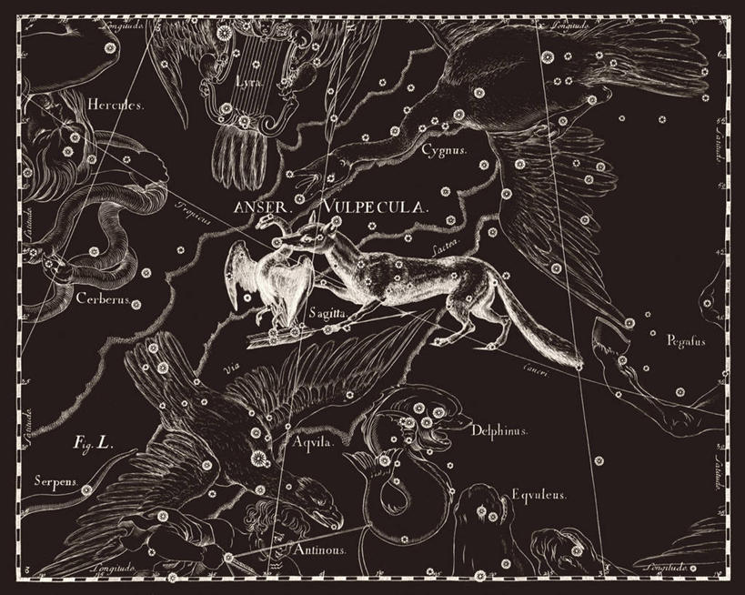 无人,横图,黑白,鹅,狐狸,地图,科学,星星,动物,两只,摄影,星座,手艺,天文学,拉丁文,雕刻术