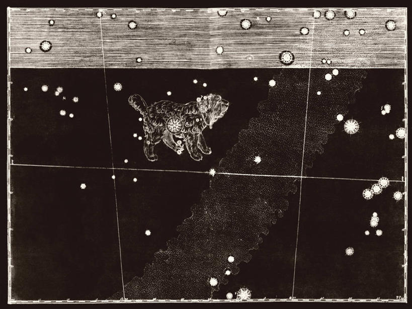 无人,横图,黑白,宇宙,狗,地图,科学,星星,自然,摄影,星座,天文,占卜,手艺,天文学,星相,占星,雕刻术