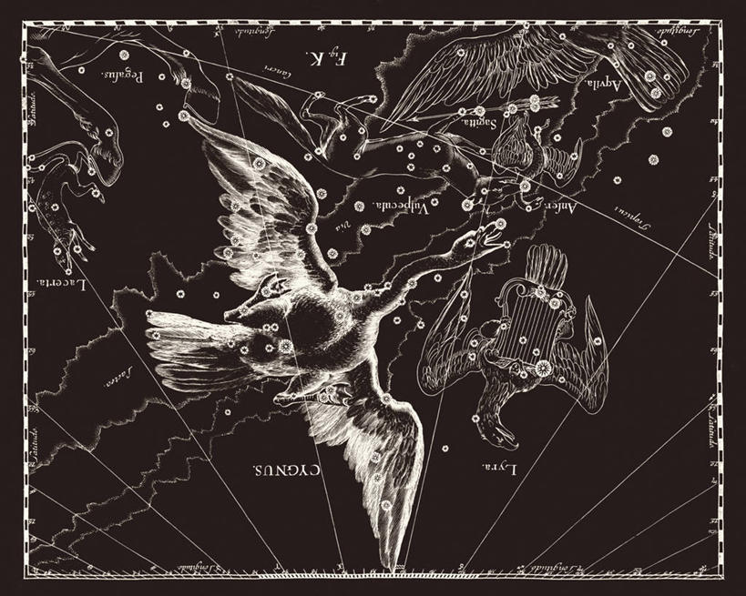 无人,横图,黑白,天鹅,地图,科学,星星,摄影,星座,手艺,天文学,拉丁文,雕刻术