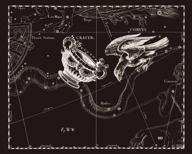 无人,横图,黑白,地图,科学,星星,摄影,星座,乌鸦,陨石坑,手艺,天文学,拉丁文,雕刻术