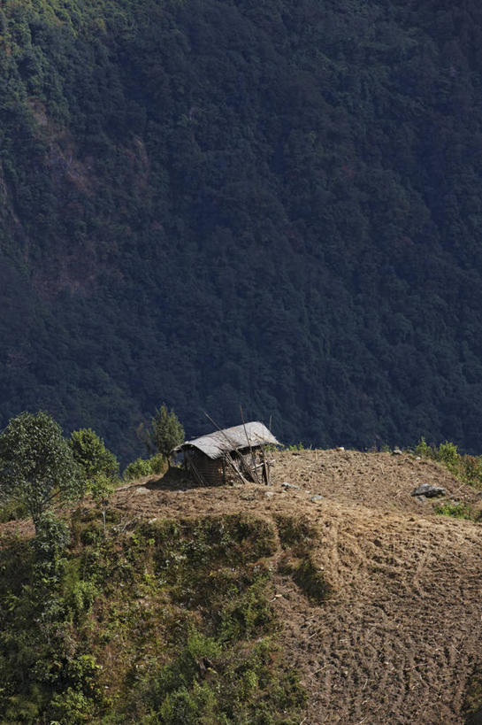 无人,竖图,室外,白天,森林,山,尼泊尔,亚洲,摄影,喜马拉雅山脉,彩图,旅行,小屋
