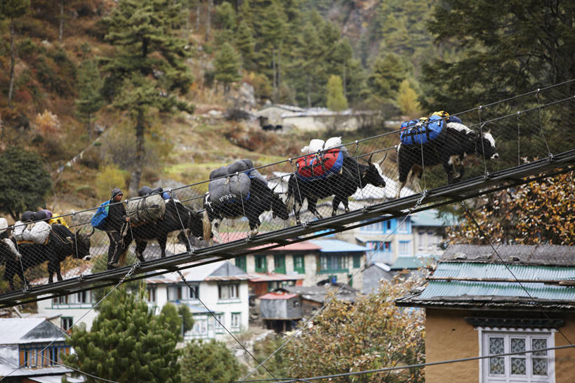 成年人,一个人,攀登,横图,室外,白天,旅游,尼泊尔,亚洲,仅一个男性,一群,许多,包,房屋,乡村,桥,很多,行李,摄影,吊桥,金属丝,货运,运送,南亚,尼泊尔王国,专区,男人,牦牛,步行,爬山,彩图,旅行,萨加玛塔专区,索卢坤布县,坤布,珠穆朗玛地区,门房