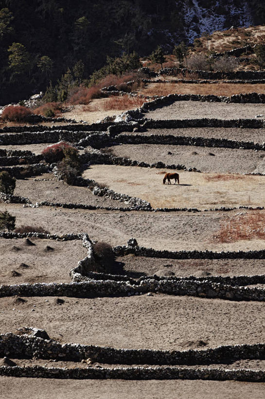 无人,竖图,室外,白天,旅游,牧场,马,尼泊尔,亚洲,石墙,摄影,喜马拉雅山脉,彩图,旅行