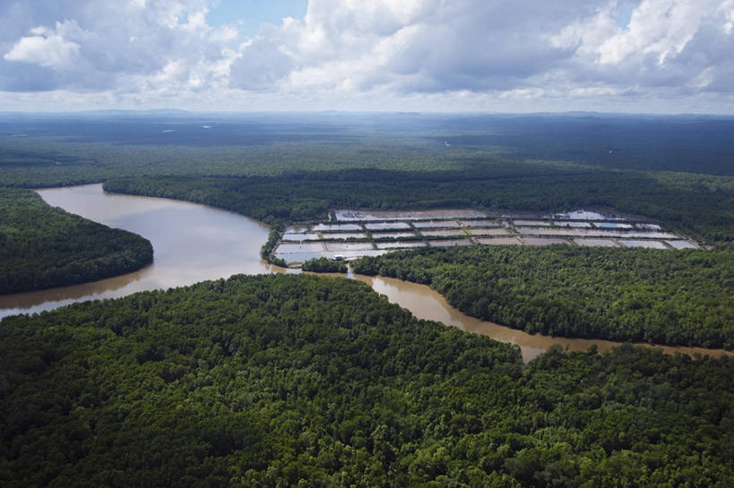 无人,农场,横图,室外,白天,河流,马来西亚,亚洲,树,摄影,东南亚,潘塔纳尔湿地,婆罗洲岛,马来西亚联邦,沙巴州,彩图,雨林