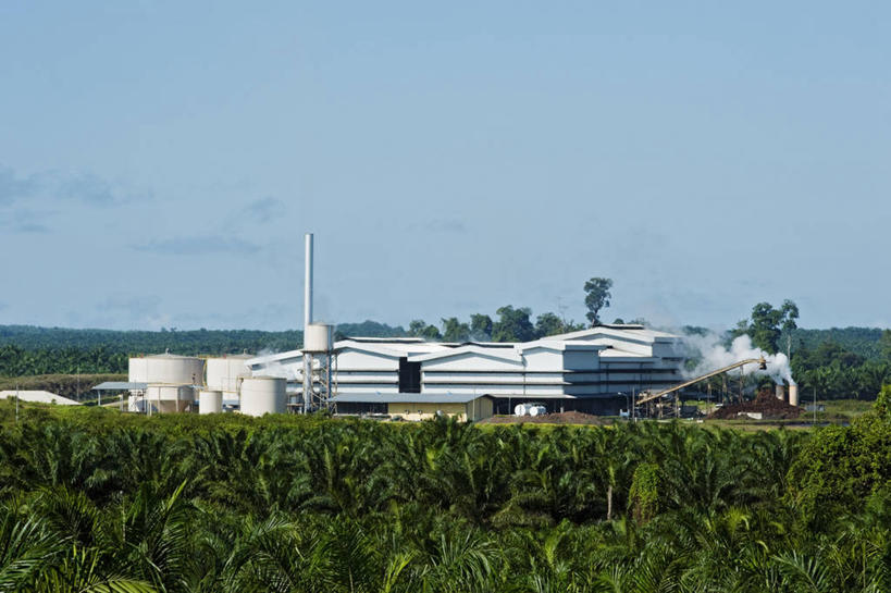 无人,横图,室外,白天,农业,农作物,烟囱,棕榈树,马来西亚,亚洲,环保,树,烟,炼油厂,摄影,东南亚,能源,回收,资源,利用,低碳,种植园,循环,婆罗洲,持续,加里曼丹岛,婆罗洲岛,马来西亚联邦,沙捞越,砂拉越州,犀鸟之乡,彩图,生物燃料