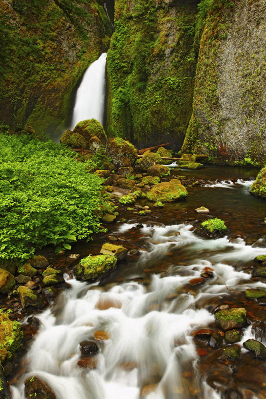 无人,竖图,室外,白天,瀑布,峡谷,美国,地形,苔藓,小溪,摄影,清新,俄勒冈州,哥伦比亚河谷,岩石,彩图