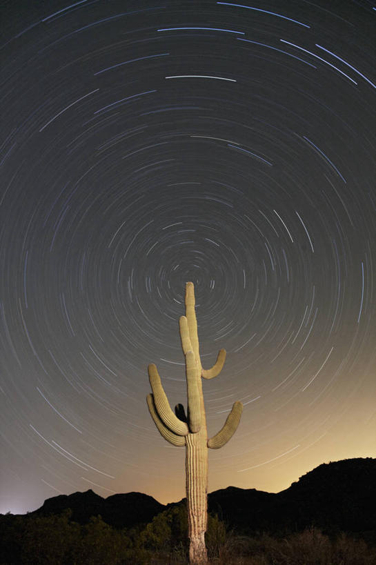 无人,竖图,室外,夜晚,运动模糊,美景,日落,沙漠,仙人掌,美国,景观,星星,自然,黄昏,景色,摄影,北极星,亚利桑那,自然风光,彩图