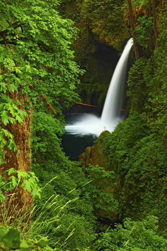 无人,竖图,室外,白天,瀑布,美国,地形,绿色,地标建筑,摄影,清新,俄勒冈州,哥伦比亚河谷,死水,彩图,旅行