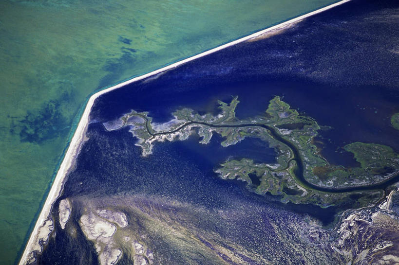 无人,横图,俯视,航拍,室外,白天,海洋,哺乳动物,鲸鱼,野生动物,墨西哥,地形,海洋生物,动物,摄影,鲸,拉丁美洲,鸟瞰,水生动物,水生物,海底动物,鲸类,灰鲸,潟湖,彩图,高角度拍摄,东太平洋灰鲸,加州灰鲸,掘贝者,弱鲸,河口