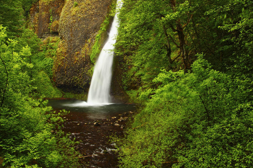 无人,横图,室外,白天,瀑布,森林,美国,地形,树,小溪,摄影,清新,纯净,俄勒冈州,哥伦比亚河谷,死水,彩图